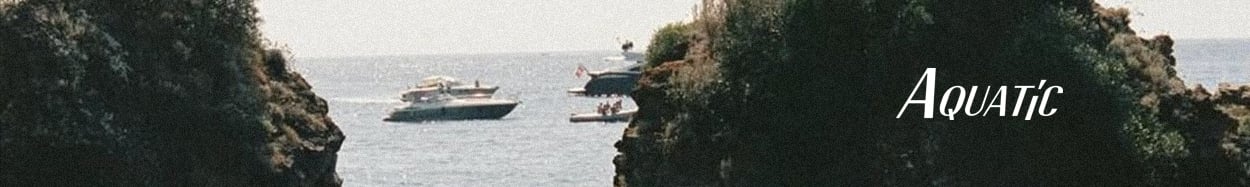 Htd aquatìc watches