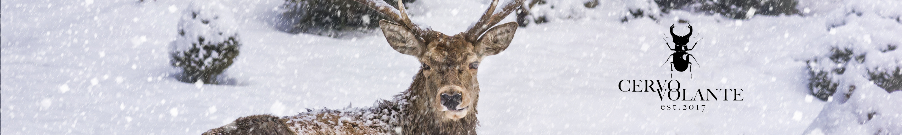 Oris special editions oris x cervo volante watches