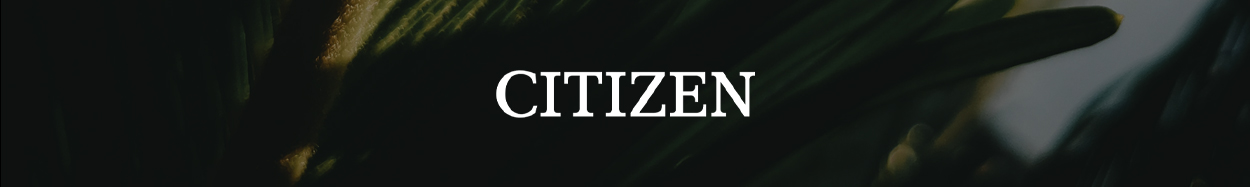 Citizen clearance watches
