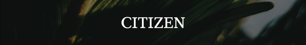 Citizen clearance watches