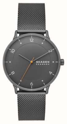 Skagen Riis (40mm) Grey Dial / Grey Steel Mesh Bracelet SKW6884