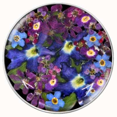 MY iMenso Flora Mix Purple Insignia 33-1178
