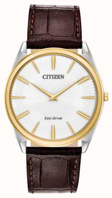 Citizen Stiletto | Men's Eco Drive | Brown Leather Strap | White Dial AR3074-03A