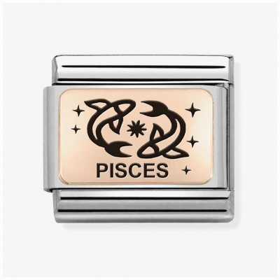 Nomination Classic Pisces Zodiac Link Steel And 9ct Rose Gold 430112/12